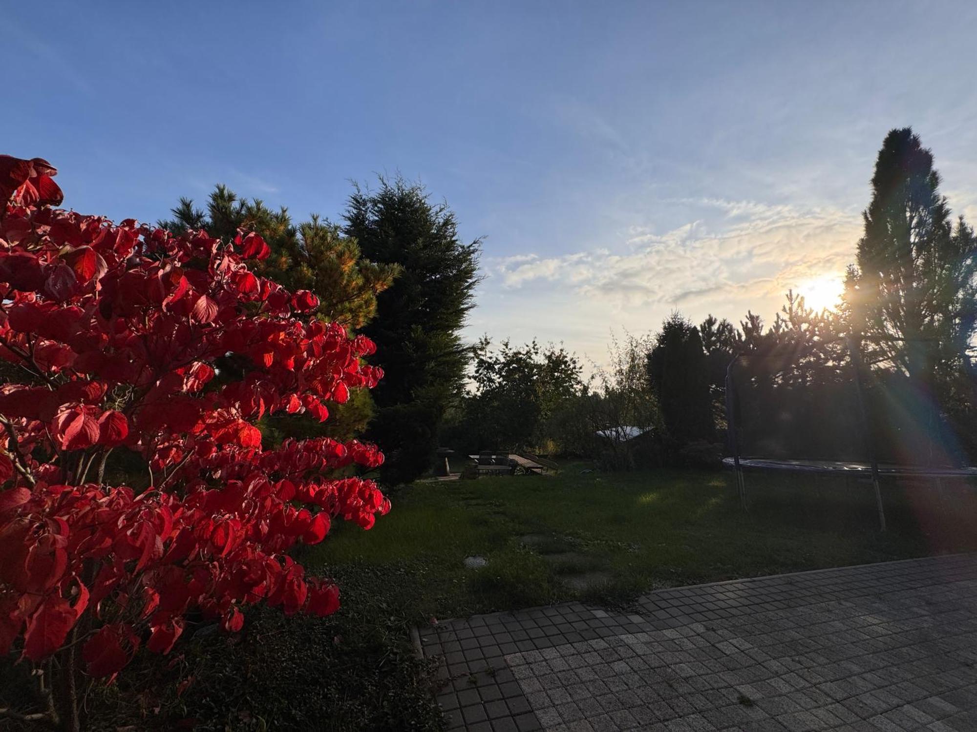 Diamondvilla, 4 Bedroom Apartment, Garden & Spa プラハ エクステリア 写真
