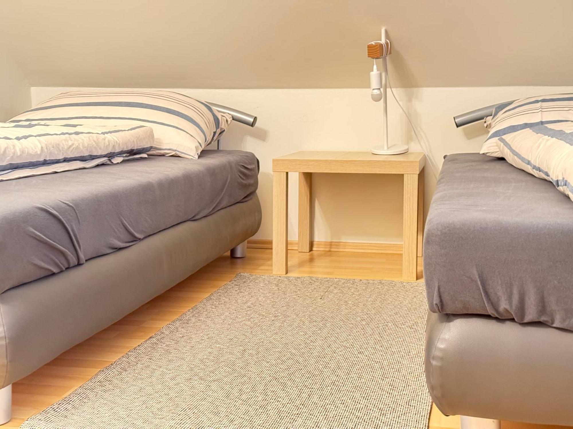 Diamondvilla, 4 Bedroom Apartment, Garden & Spa プラハ エクステリア 写真
