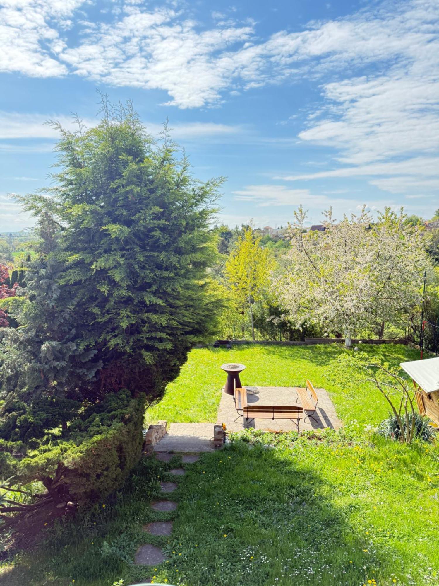 Diamondvilla, 4 Bedroom Apartment, Garden & Spa プラハ エクステリア 写真