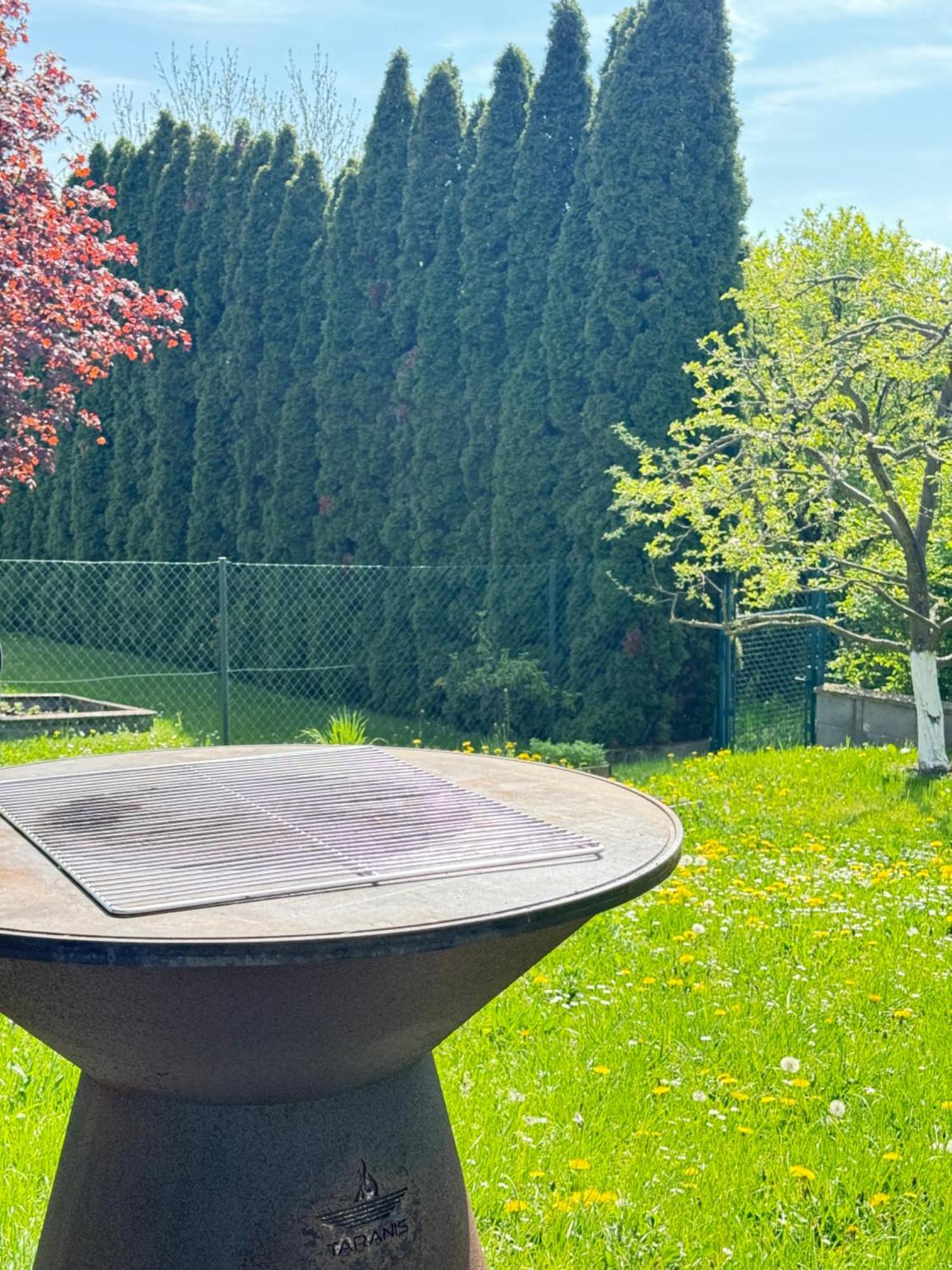 Diamondvilla, 4 Bedroom Apartment, Garden & Spa プラハ エクステリア 写真